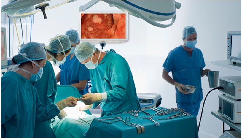 screenshot 14 3 2026 11131 pro.sony