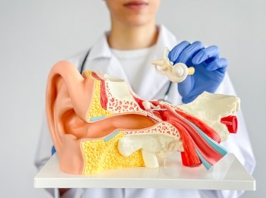 screenshot 15 3 2026 231539 www.bing.com